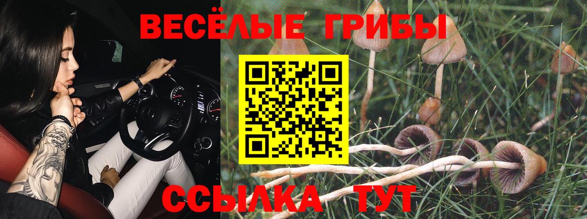 Галлюциногенные грибы ЛСД  Вход с VPN  Галлюциногенные грибы прущие грибы  Ливны 
